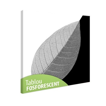 Tablou fosforescent Frunza alb negru 30x30 cm